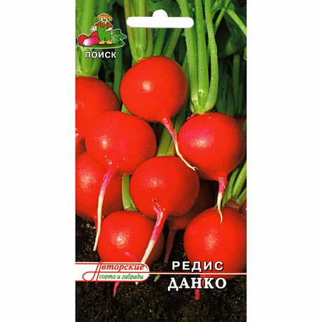 Редис Данко фото Редис Данко 